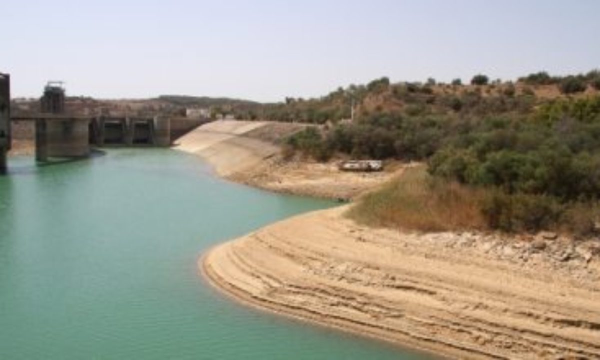 بعد انحباسها طيلة فصل الخريف..   هل تنقذ أمطار الشتاء الموسم الفلاحي وتضع حدا للجفاف؟